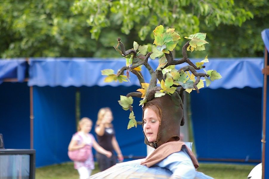 La terre: les 20 ans du lac en fete 331